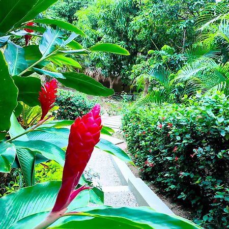 Hotel Isabella Tayrona Лос Наранхос Екстериор снимка