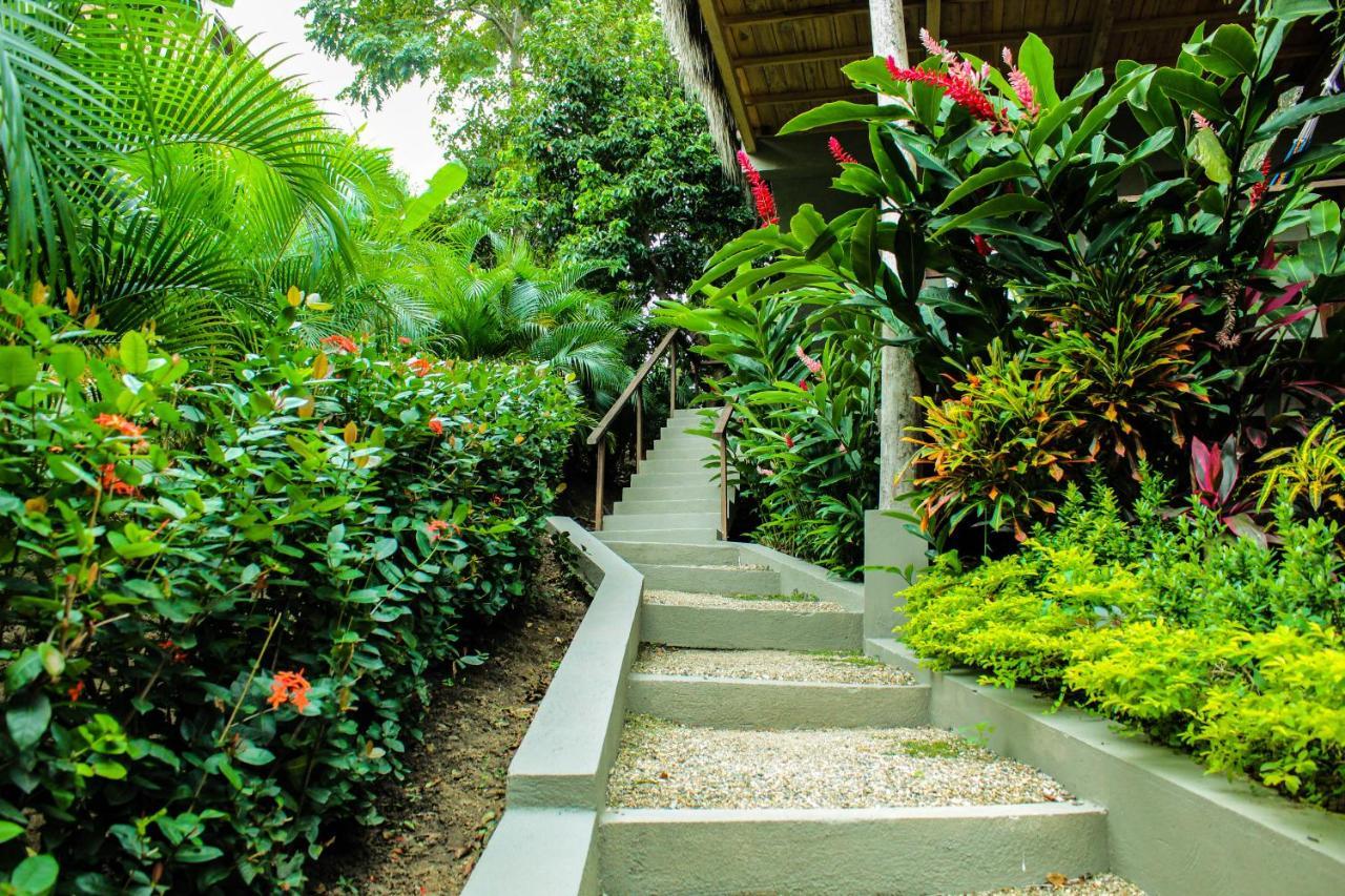 Hotel Isabella Tayrona Лос Наранхос Екстериор снимка