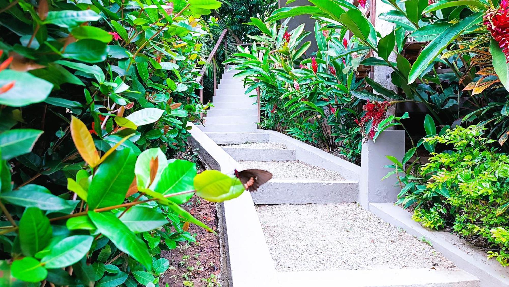 Hotel Isabella Tayrona Лос Наранхос Екстериор снимка