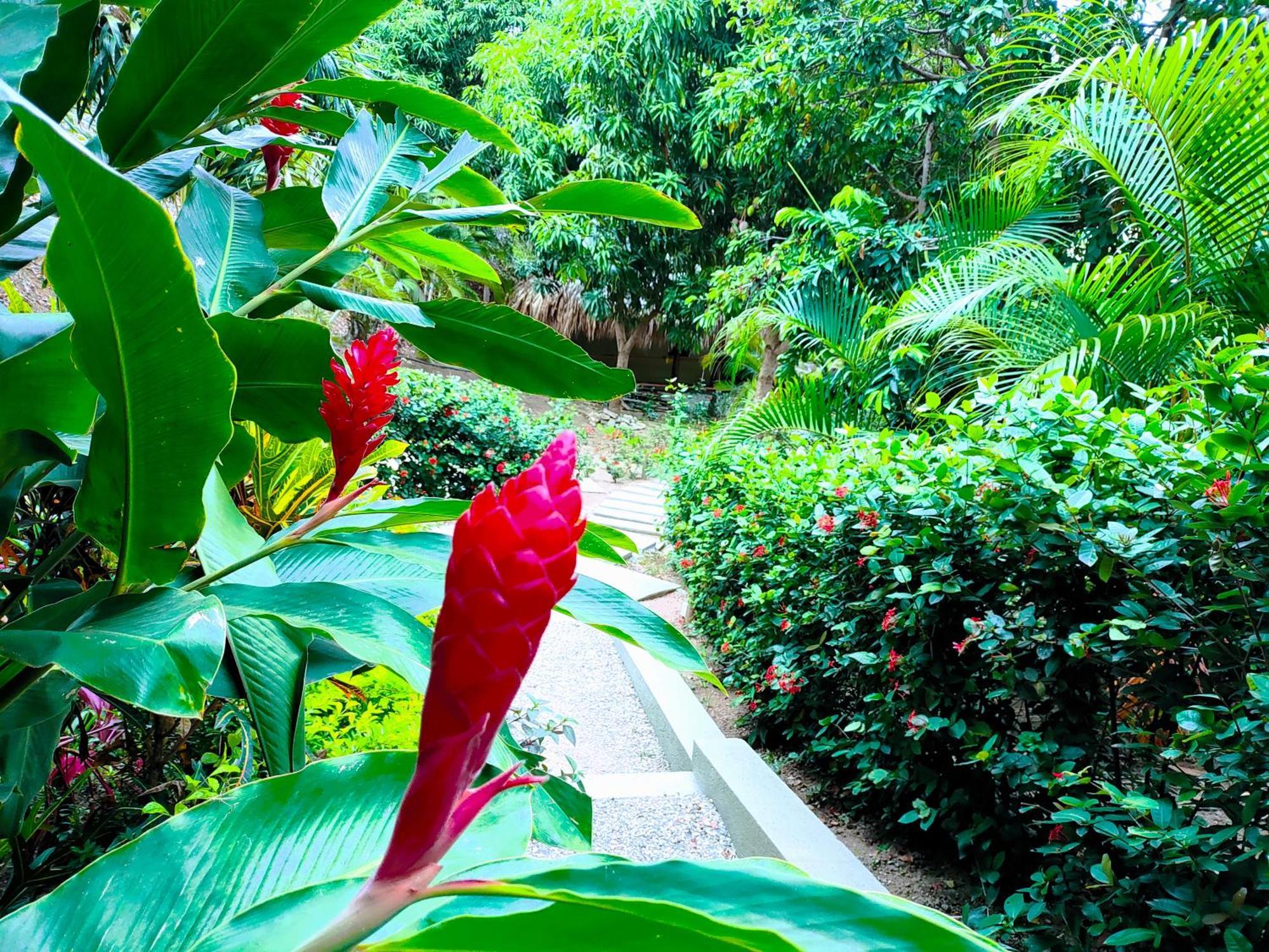 Hotel Isabella Tayrona Лос Наранхос Екстериор снимка