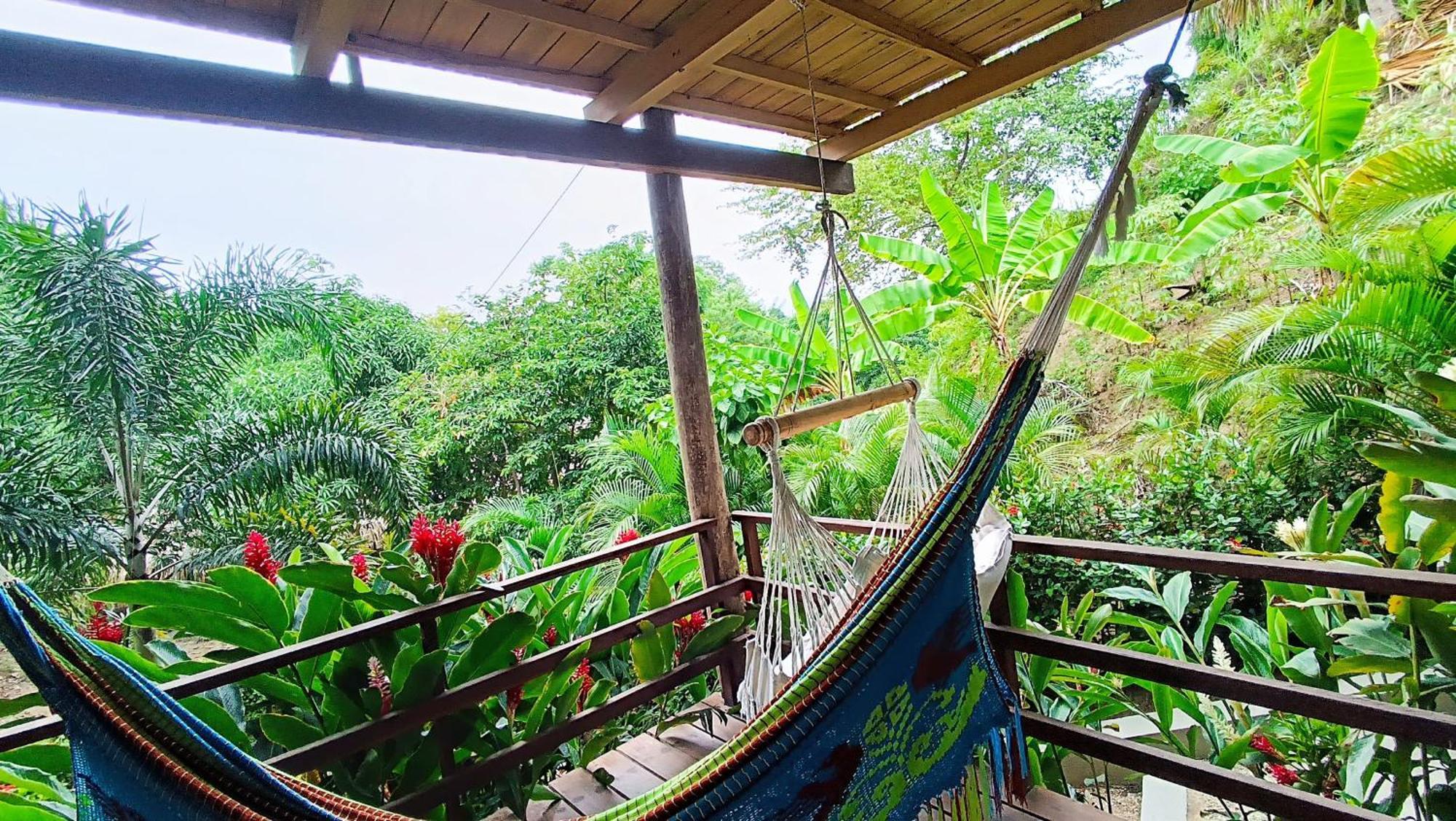 Hotel Isabella Tayrona Лос Наранхос Екстериор снимка